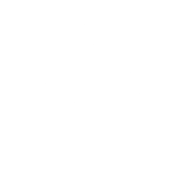 Phoenix Logo